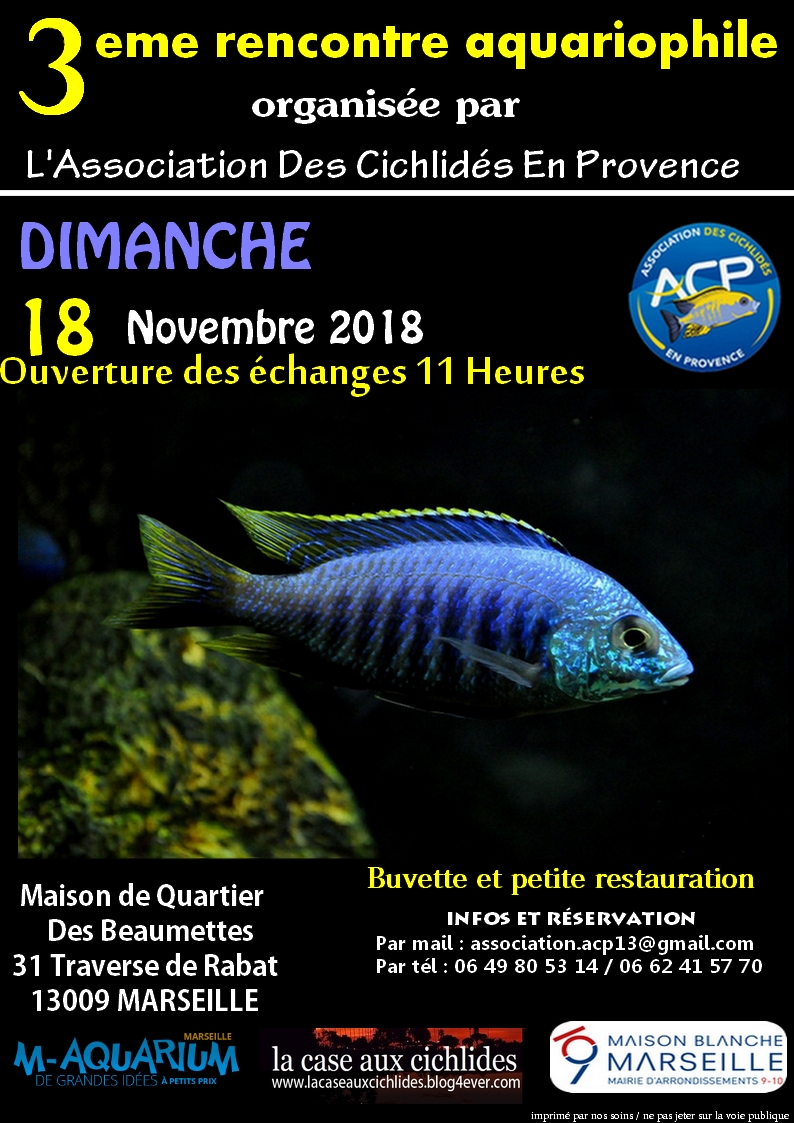 projet affiche rencontre 2 2018